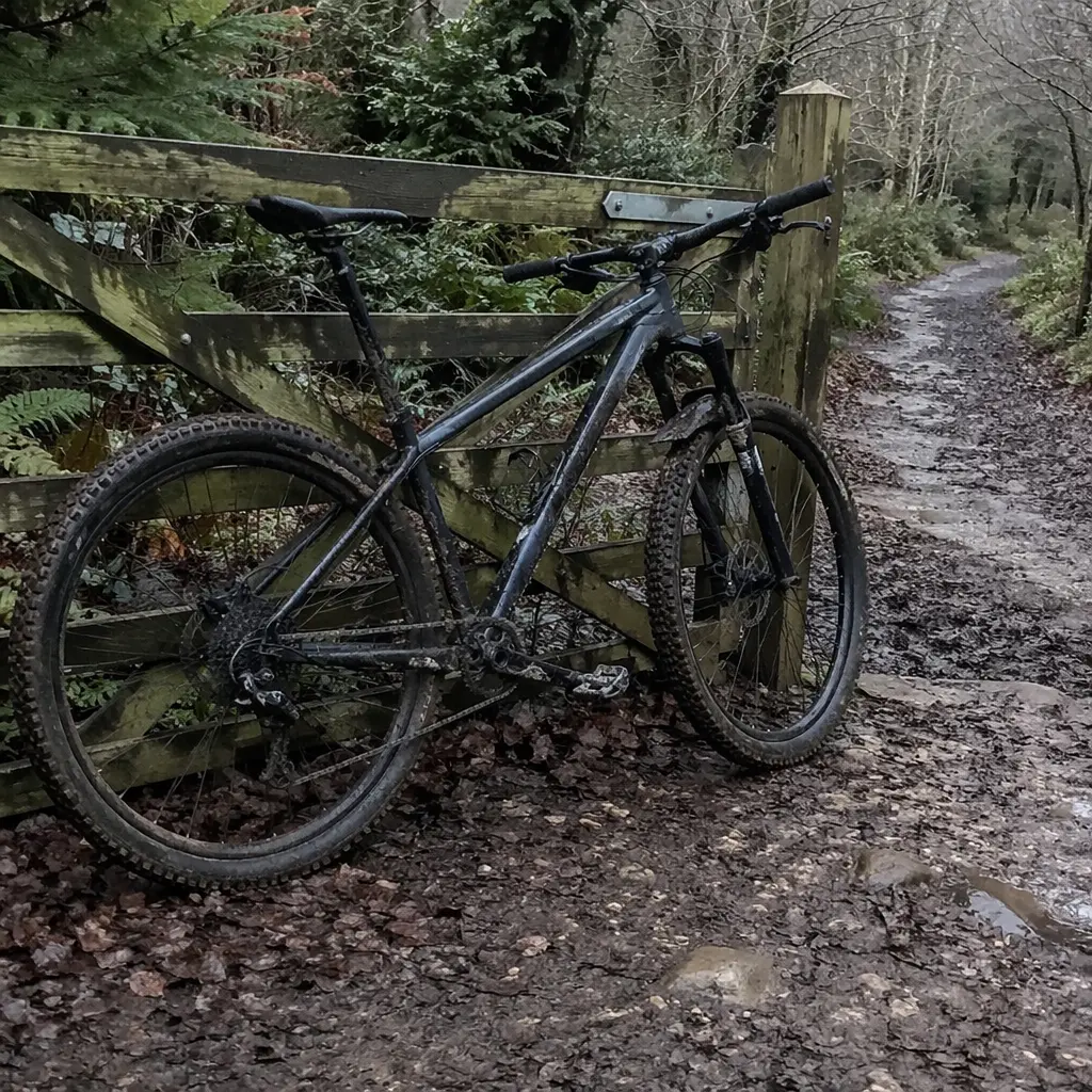 Budget hardtail mountain bike on a UK woodland trail